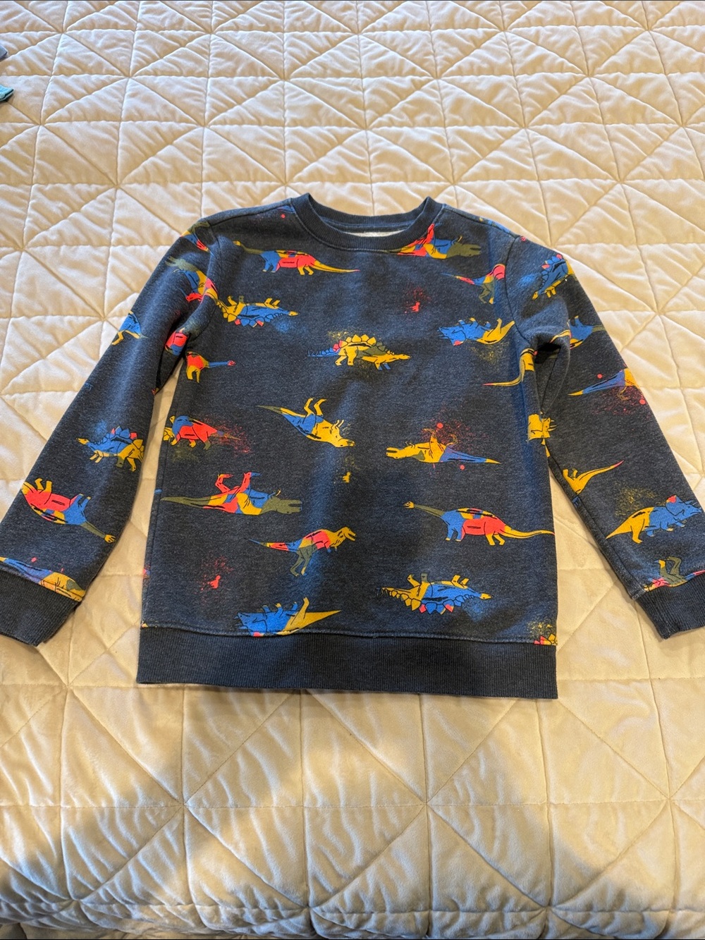 Kids Black Dinosaur Print Sweatshirt -